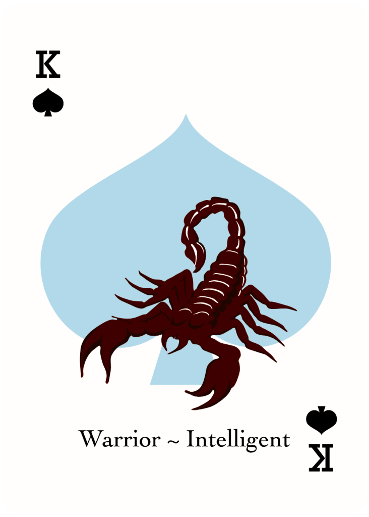 King Spades EK Playing Cards