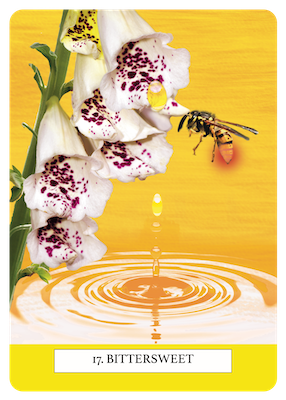 17. Bittersweet Life Signs Oracle by Elizabeth Keedy