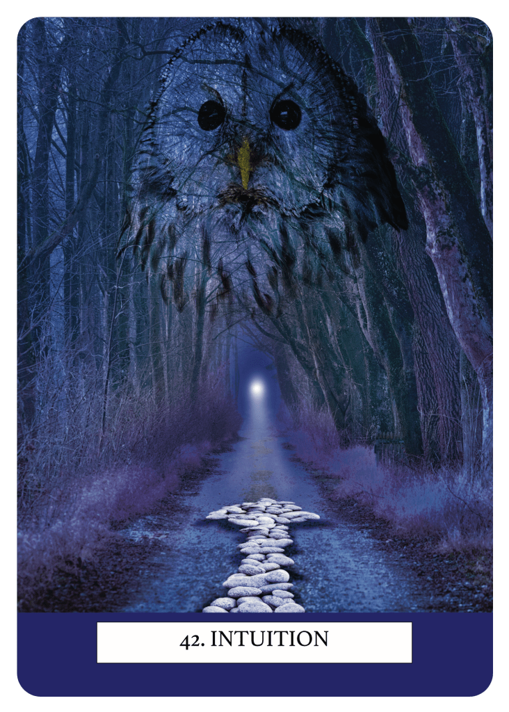 42. Intuition. Life Signs Oracle deck and guidebook to connect with intuition and receive guidance from signs and symbolism in nature