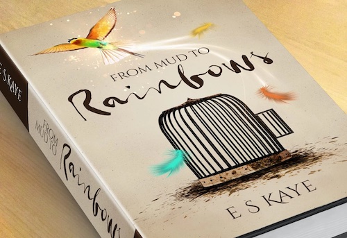 From Mud To Rainbow by Elizabeth Keedy fiction novel