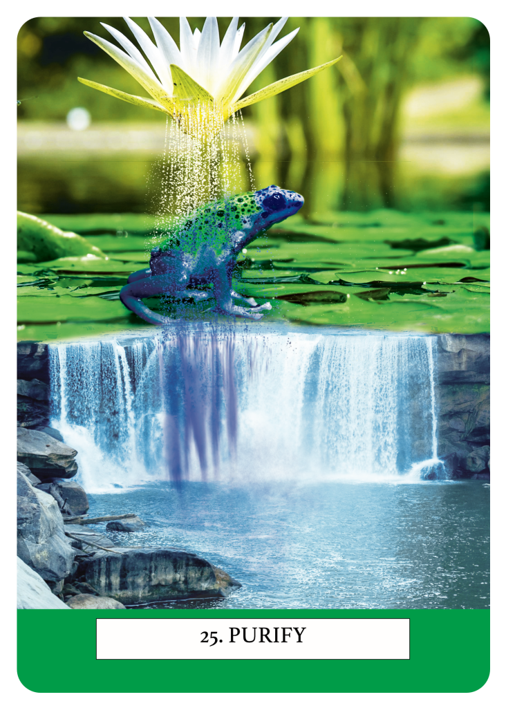 25. Purify. Life Signs Oracle deck and guidebook to connect with intuition and receive guidance from signs and symbolism in nature