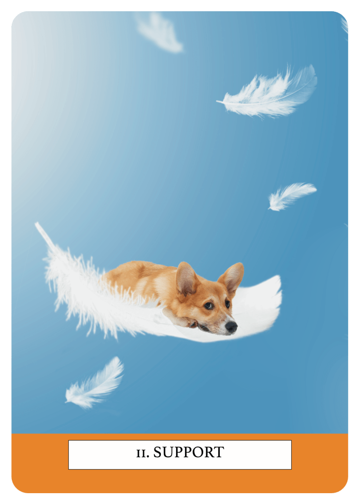 11. Support. Life Signs Oracle deck and guidebook to connect with intuition and receive guidance from signs and symbolism in nature