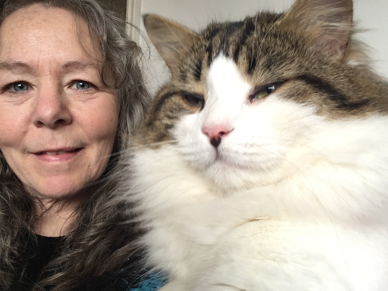 Animal Communication