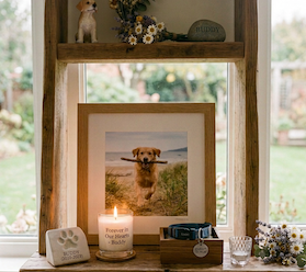 Heartfelt memorial honoring the loss of a dog who has died and crossed over to the spirit realm